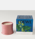 LOEWE Ivy Small candle 170g NIB