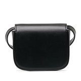 Mini Triomphe Crossbody Bag Black - Lab Luxury Resale