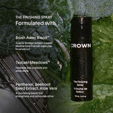 Crown Affair The Finishing Hair Spray 100ml NIB